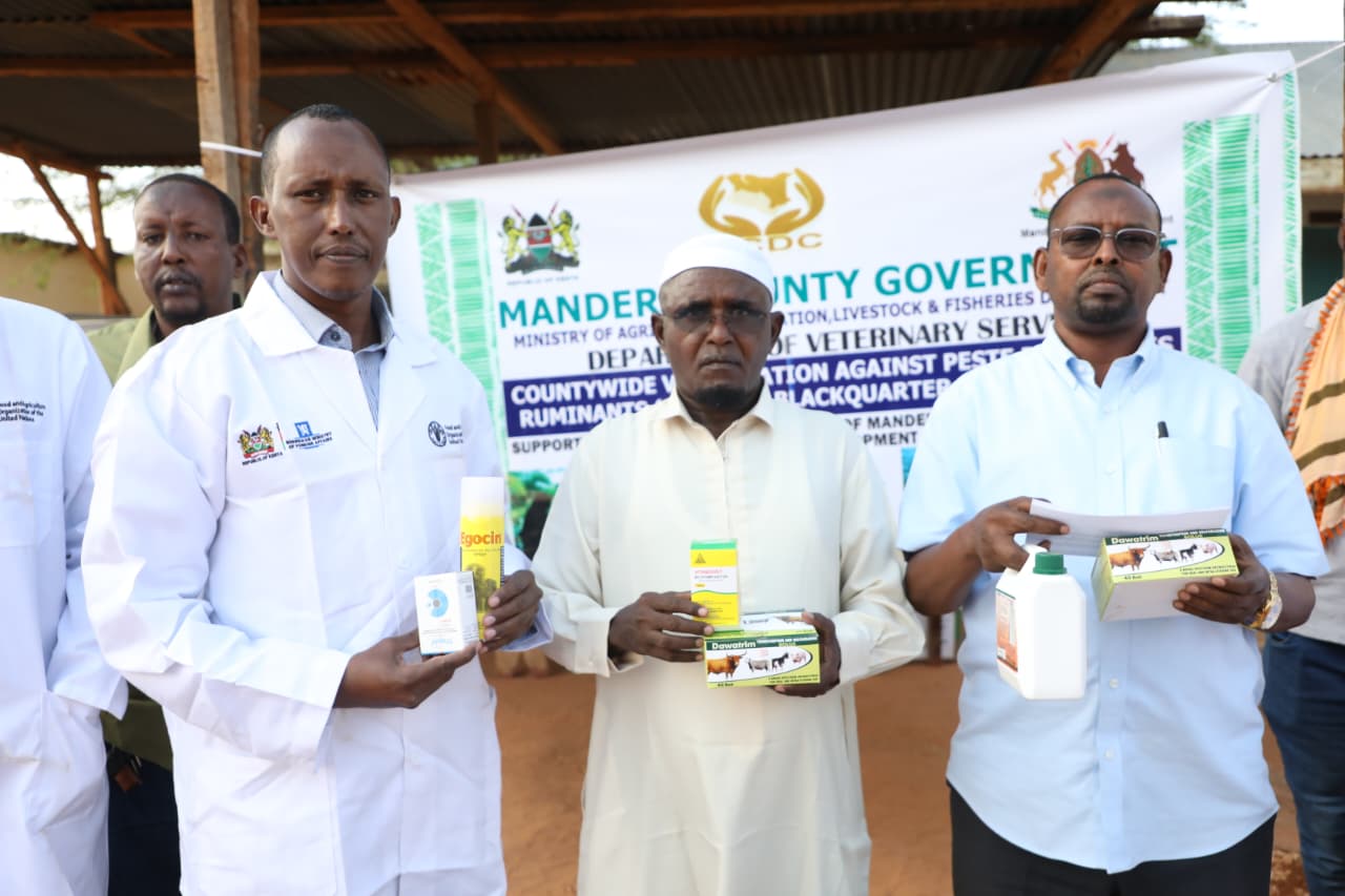 Mandera County Launches Countywide Livestock Vaccination Drive to Safeguard Pastoralist Livelihoods